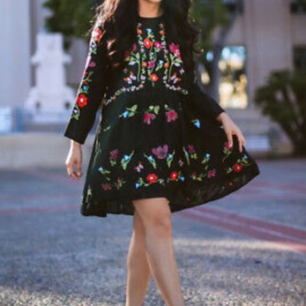 Zara embroidered mini dress small